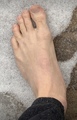 23_Joey_Kidney_Feet_5003196.jpg