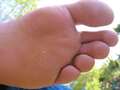 57_sole_4t.jpg