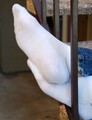 59_footfriends_04.jpg