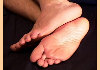 c6090077.jpg