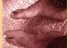 feet3.jpg