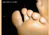 t006.jpg