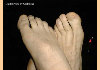 t011.jpg