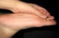 04_IMG_00921.JPG