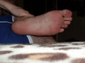 25_SL380291opt2.jpg