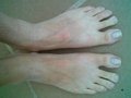 37_Pies01.jpg