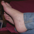 41_meft015small.jpg