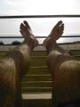 03_my_hairy_feet_in_the_sun.jpg