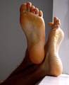 25_b014.jpg