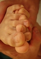 33_sexy_feet_5_12658_14.jpg