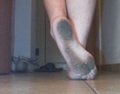 35_202.jpg