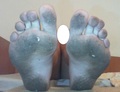 50_117.jpg