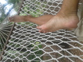 53_20150604_162606.jpg