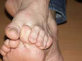 54_bear_feet_004.jpg